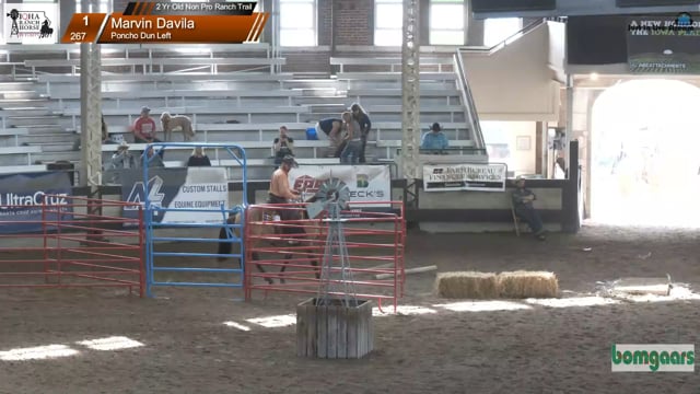 #267 Marvin Davila (2)