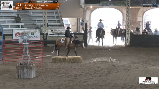 #272 Craig L Johnson