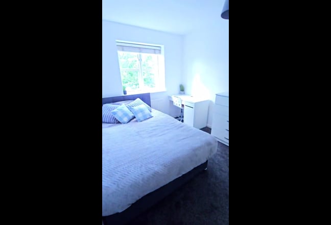 Video 1: