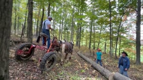 American Brabant Rendezvous 2023