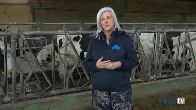 OmyaFeed C MgO, el suplemento alimenticio compacto que combina carbonato de calcio y óxido de magnesio micronizados