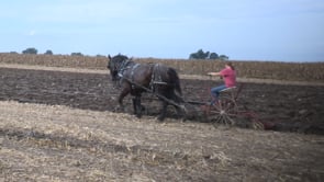 100 Years of Farm Progress