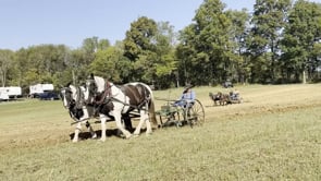 Boonville 2024 Fall Plow Day