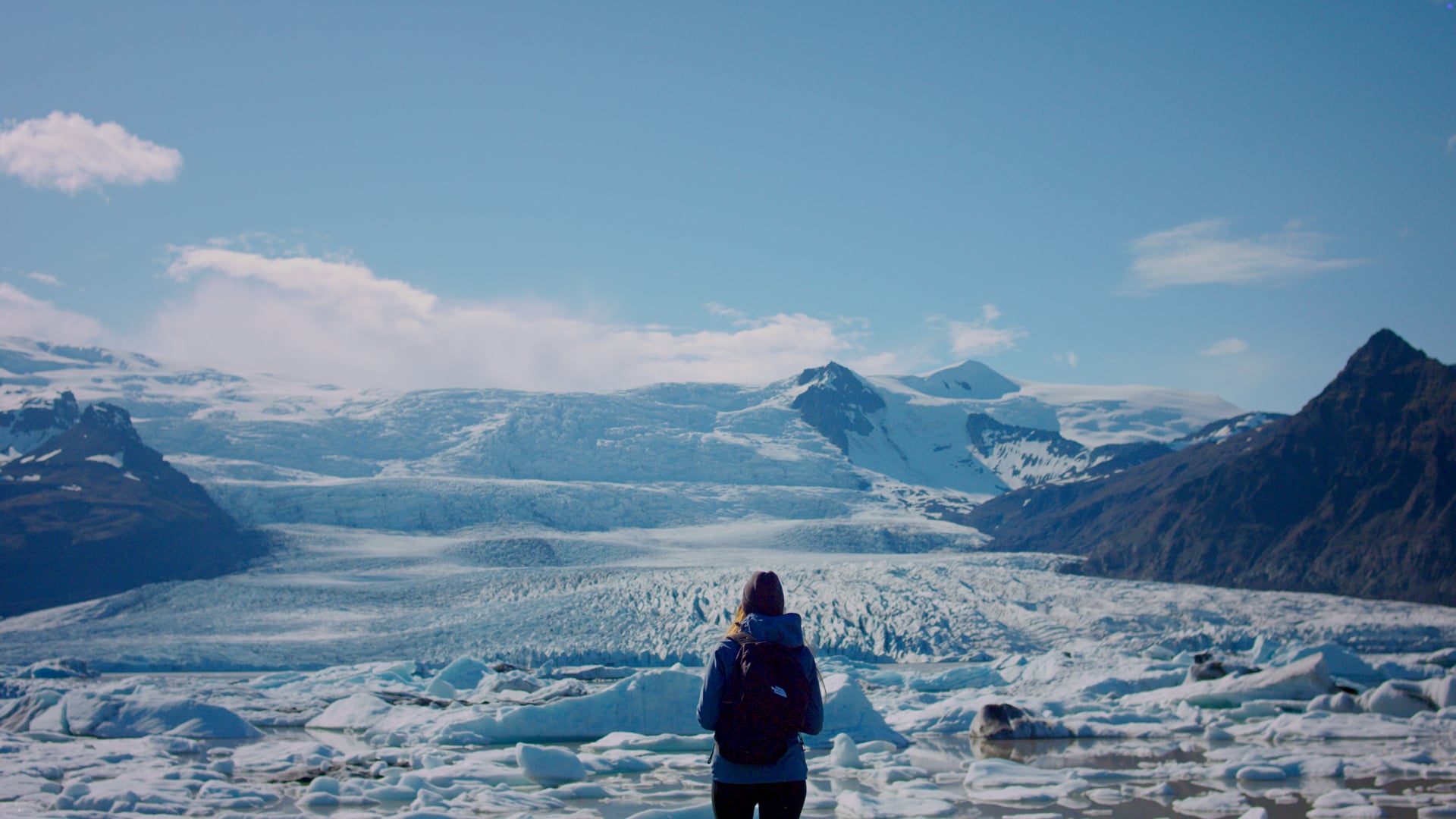 Northface | No Signal