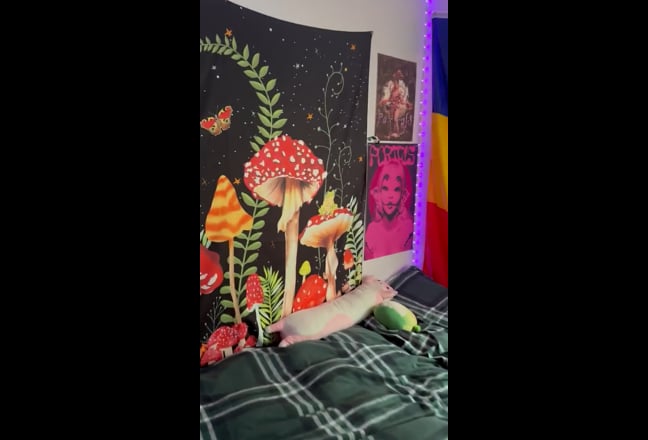 Single Room Main Photo