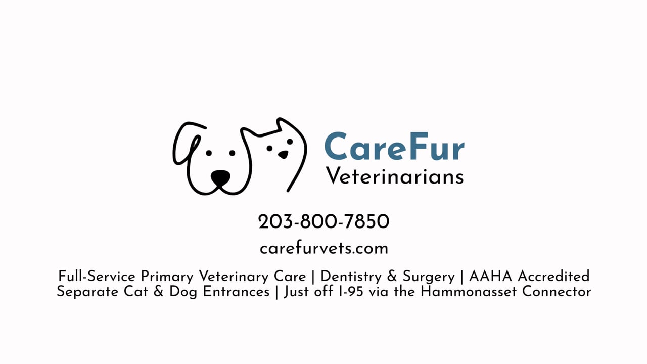 CareFur Vet Promo