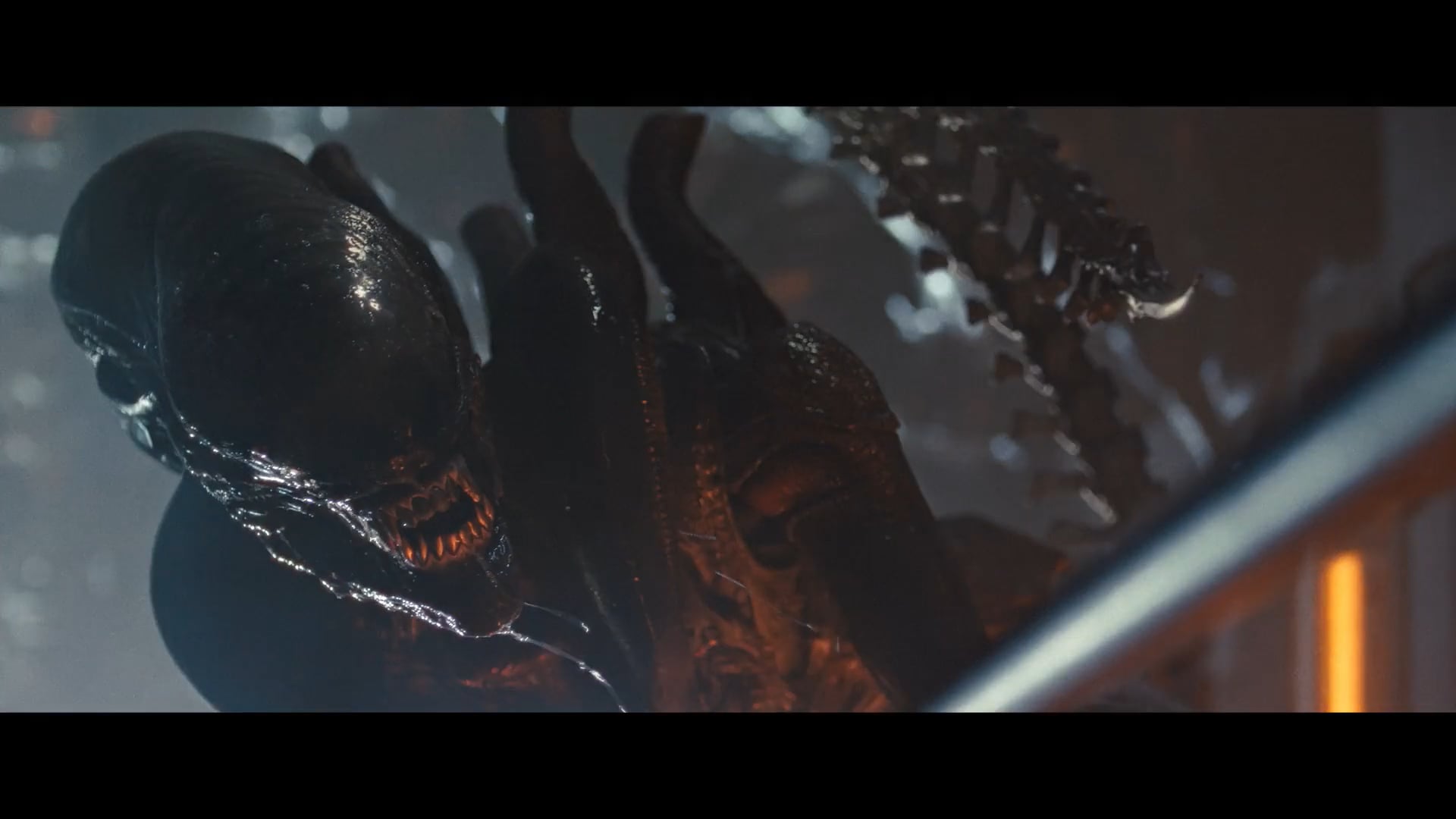 ALIEN ROMULUS DESPAIR REVIEW