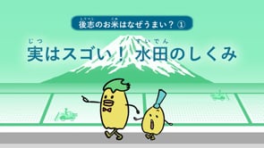 後志のお米はなぜうまい？　①実はスゴイ！水田のしくみ