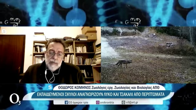 Θ. Κομηνός 31-7-2022