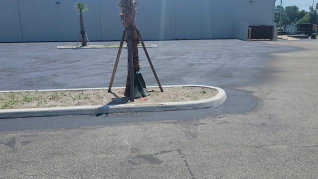 Video Alt
