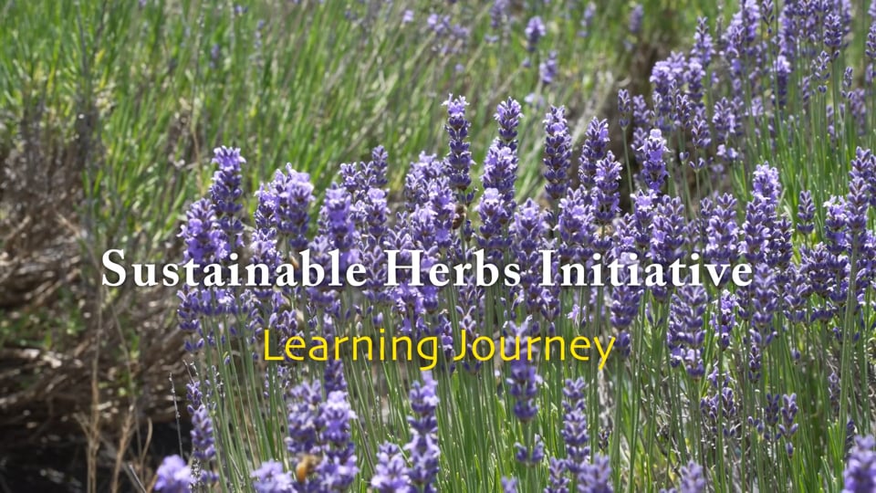 Sustainable Herbs Initiative Learning Journey video