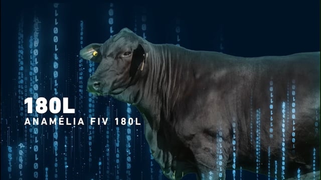 LOTE 05 - Anamélia 180L