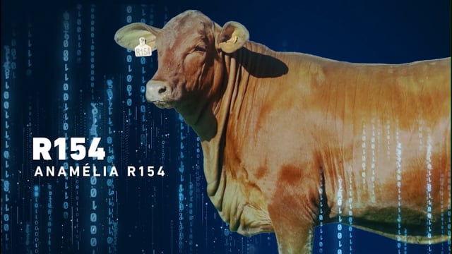 LOTE 12 - Anamélia FIV R154