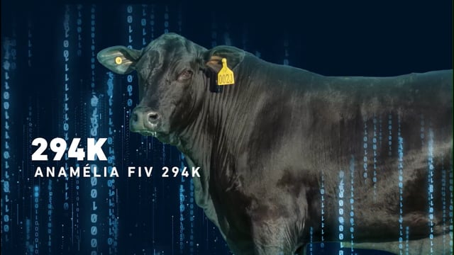 LOTE 06 - Anamélia 294K