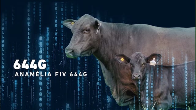 LOTE 03 - Anamélia 644G
