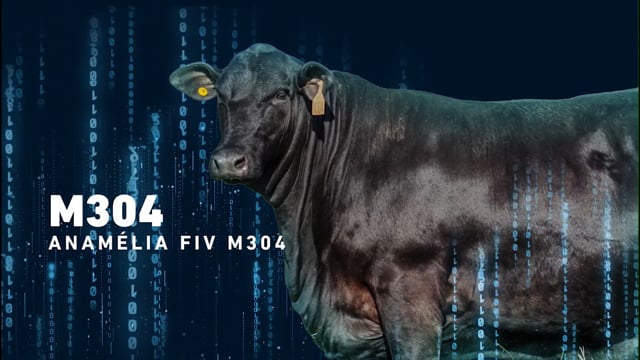 LOTE 15 - Anamélia FIV M304