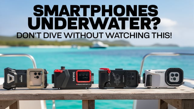 Best smartphone Underwater Housings of 2025 | Can a Smartphone Replace an Underwater Camera?