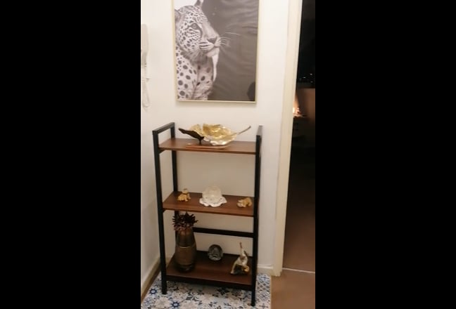 Video 1: