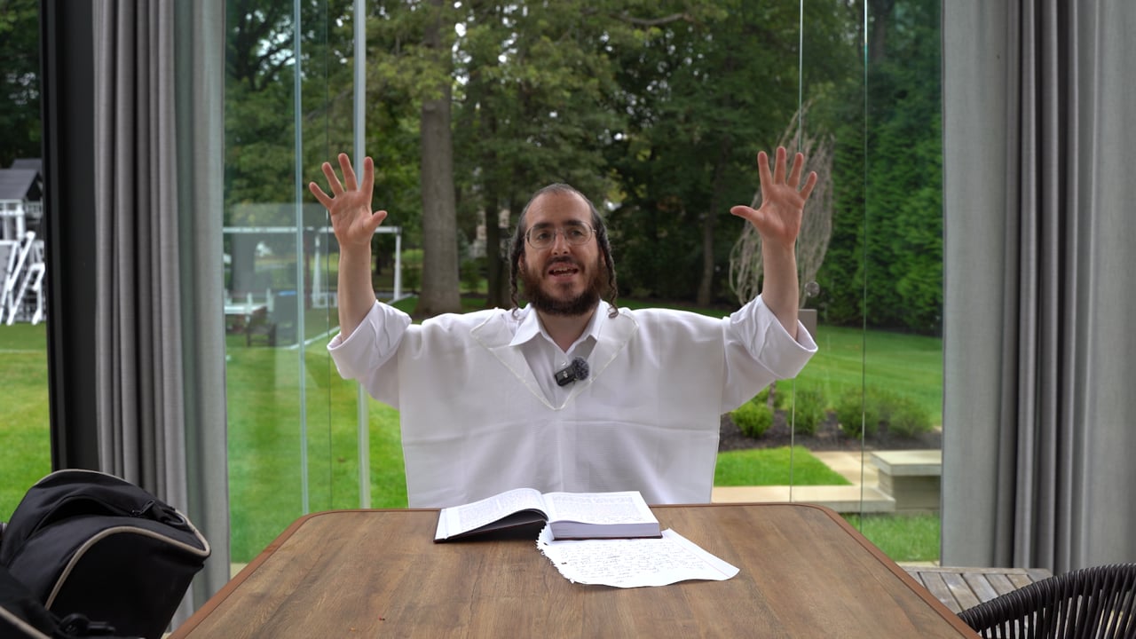 פרשה ווייבס - אינטראו