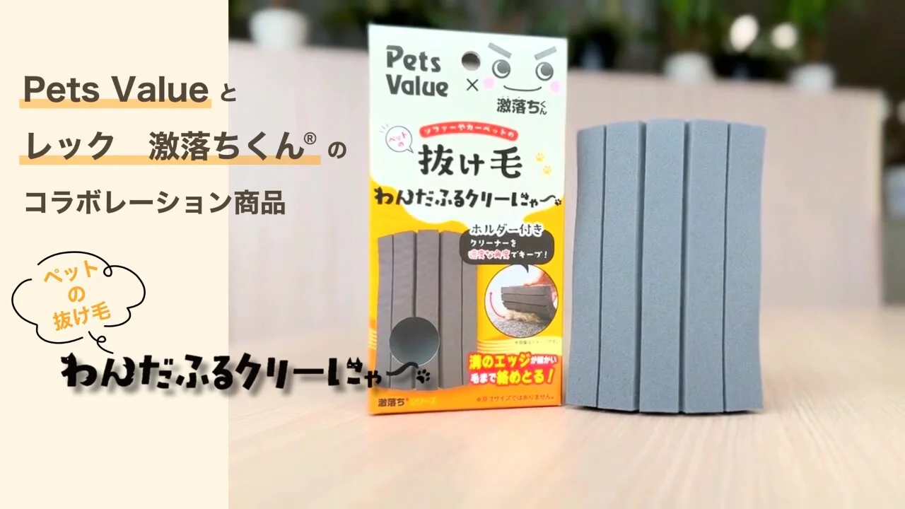 わんだふるクリーにゃー | ペッツバリュー