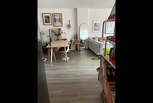 Video 1: