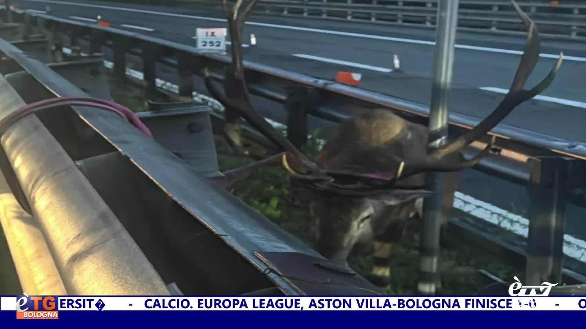 èTG –  Edizione Giorno 26/09/2025