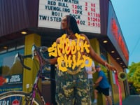 Related Embedded Video Item Thumbnail