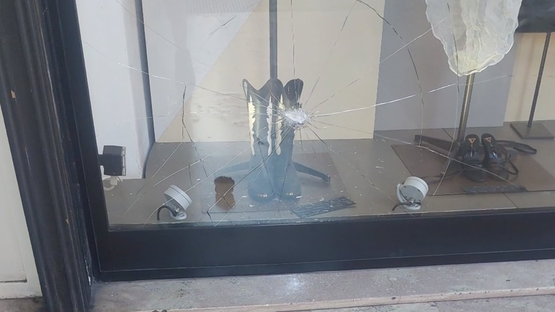 Sanpietrino contro la vetrata di un negozio. Paura in via Riva di Reno