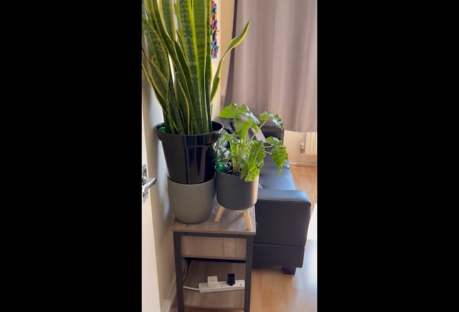 Looking for someone to replace me in my room Main Photo