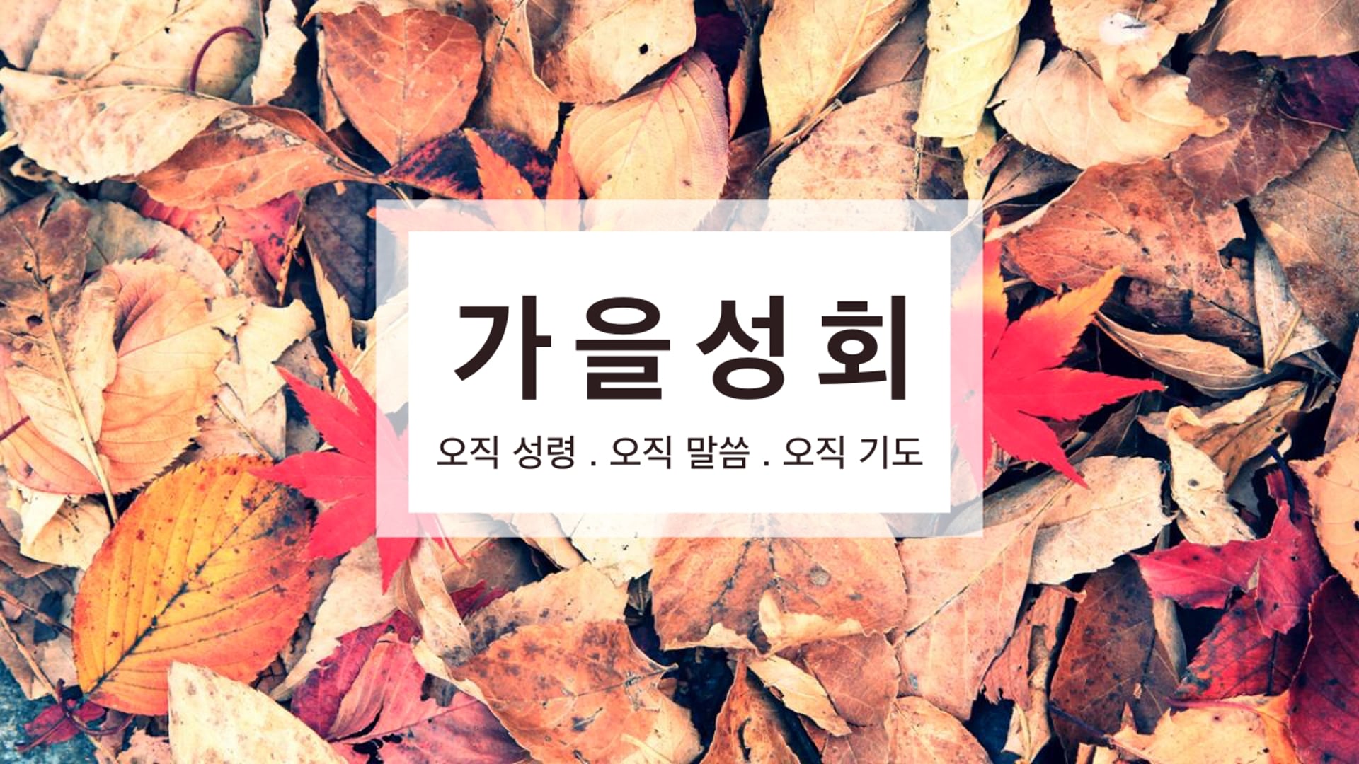 2025년 가을성회 둘째날 오전집회