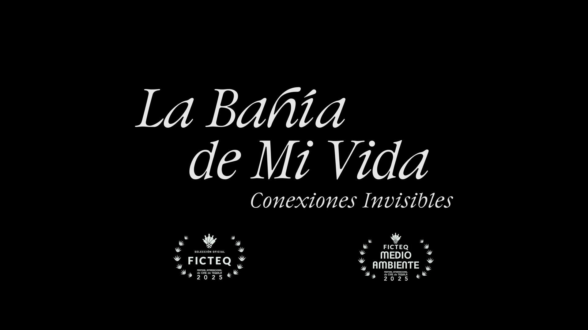 La bahia de mi vida (Trailer, SPA)