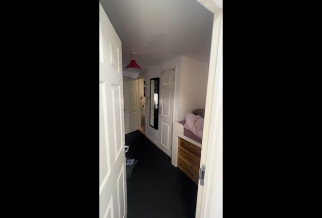 Video 1: