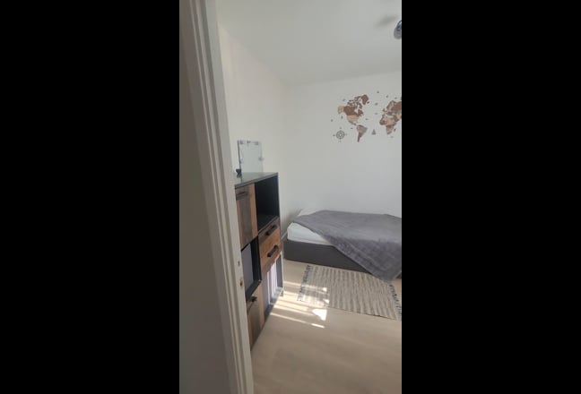 Video 1: