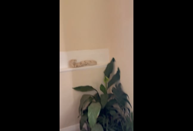 Single Room Available  Main Photo