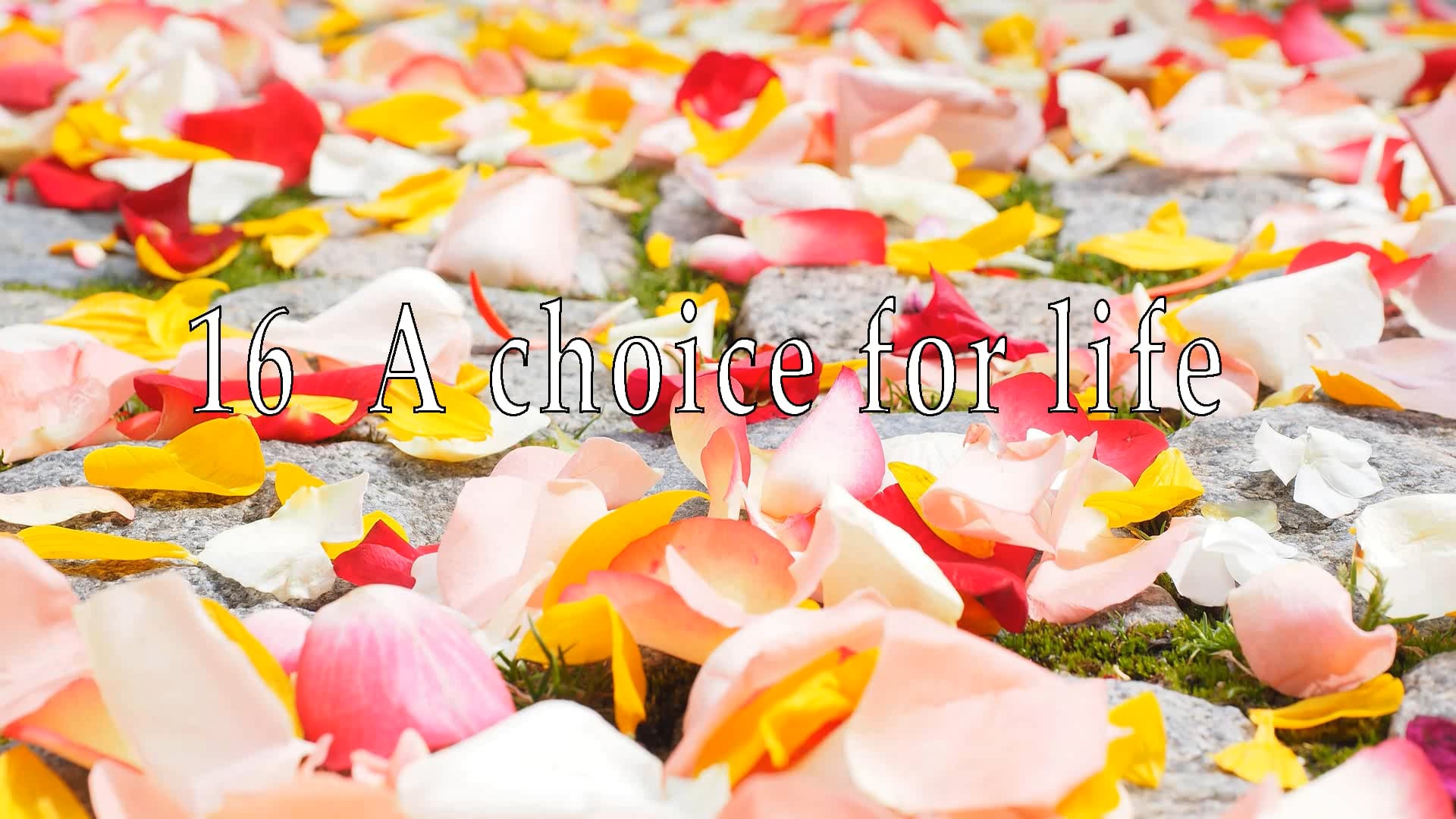 16 A choice for life ENG