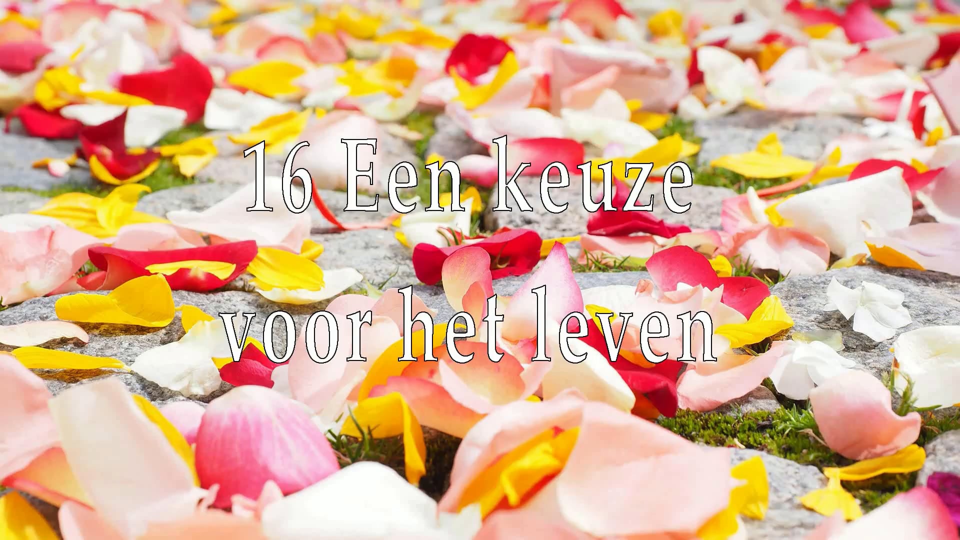16 Een keuze voor het leven NL