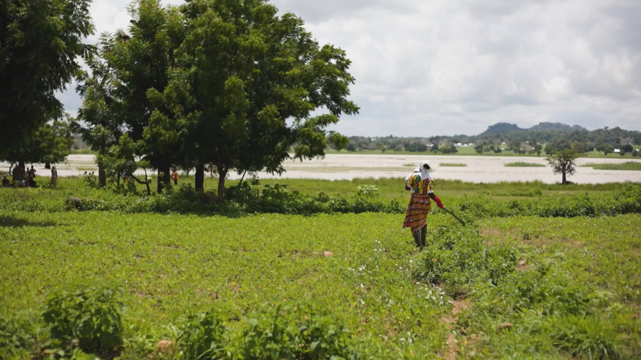 From Bridgerton to Ghana — Tree Aide