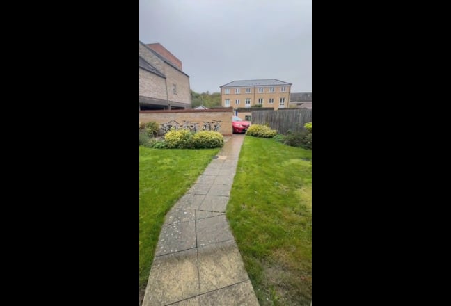 Video 1:
