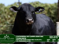 Lote 30