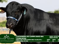Lote 32