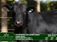 Lote 34