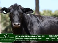 Lote 01