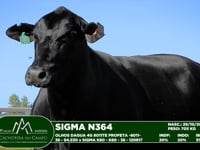Lote 02