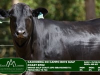 Lote 03