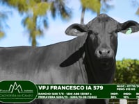 Lote 05