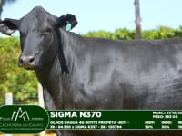 Lote 08