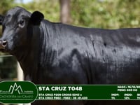 Lote 09