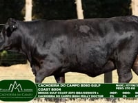 Lote 13