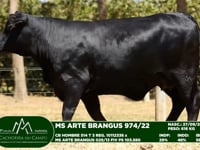 Lote 14
