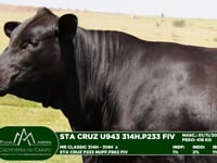 Lote 24